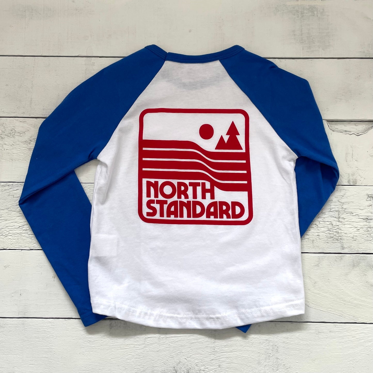 Kids Parks & Rec Baseball Tee - Royal/White with Red