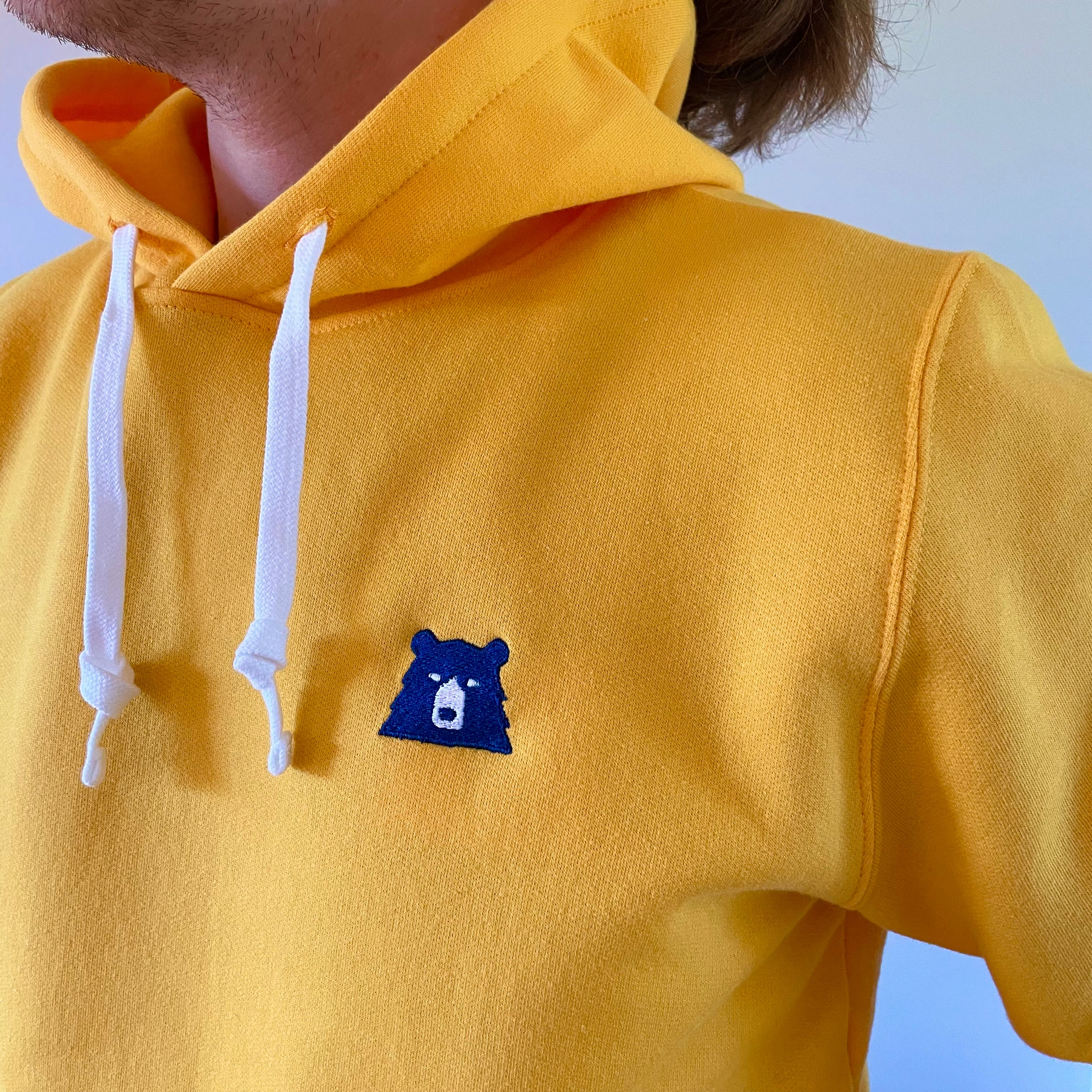 Polo on sale over hoodie